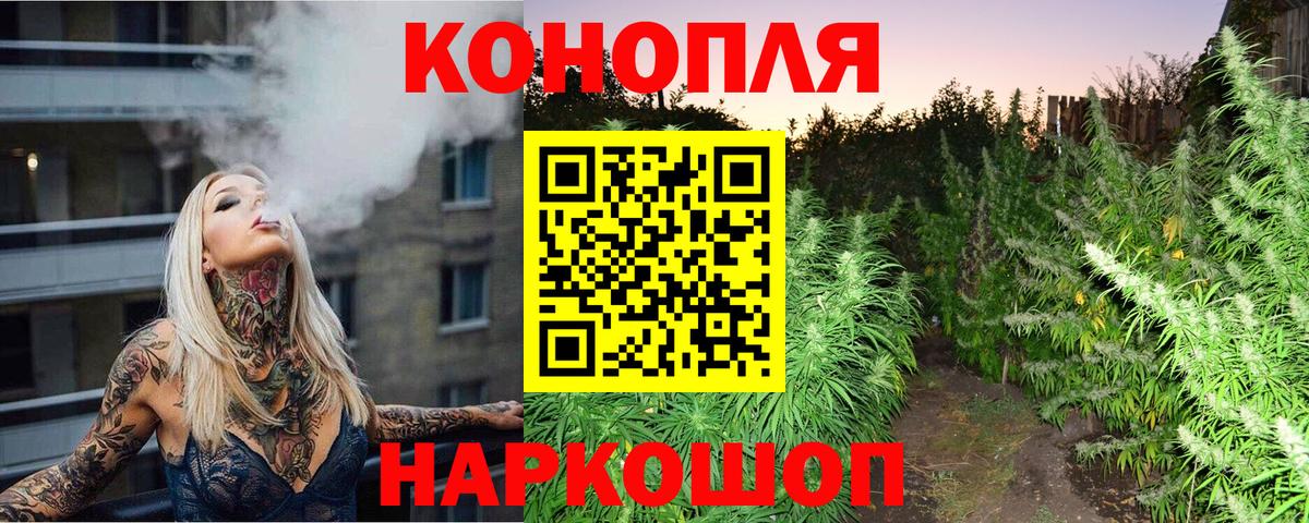Марихуана OG Kush Обнинск
